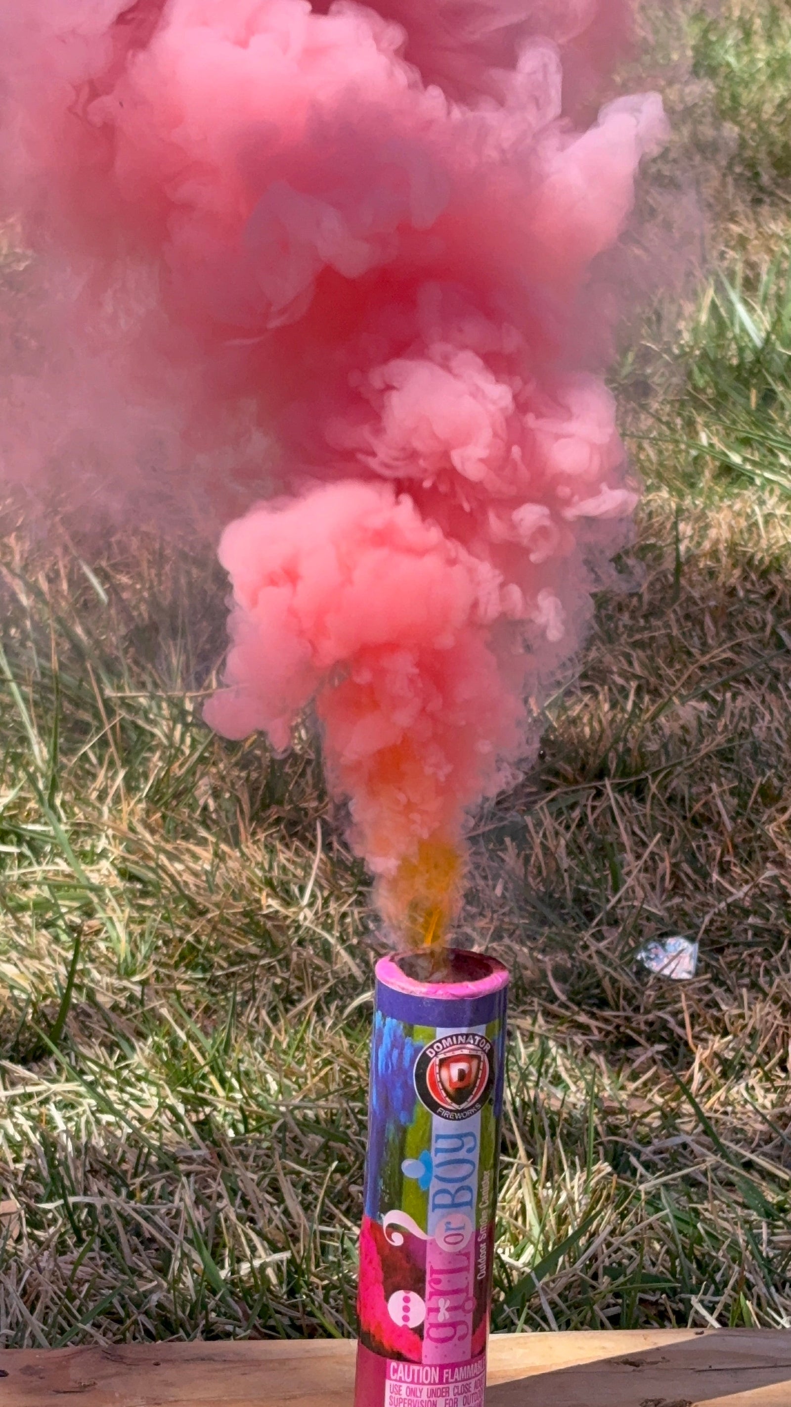 Spring Gender Reveal Ideas: Fresh, Fun & Picture-Perfect Ways to Celebrate Your Big News