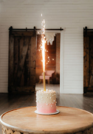Bulk Cake & Bottle Sparklers – Wholesale for Restaurants, Bars & Nightclubs