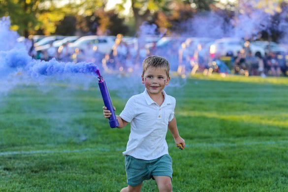 Purple Smoke Bombs-4 Pack-Halloween Photography Add-On